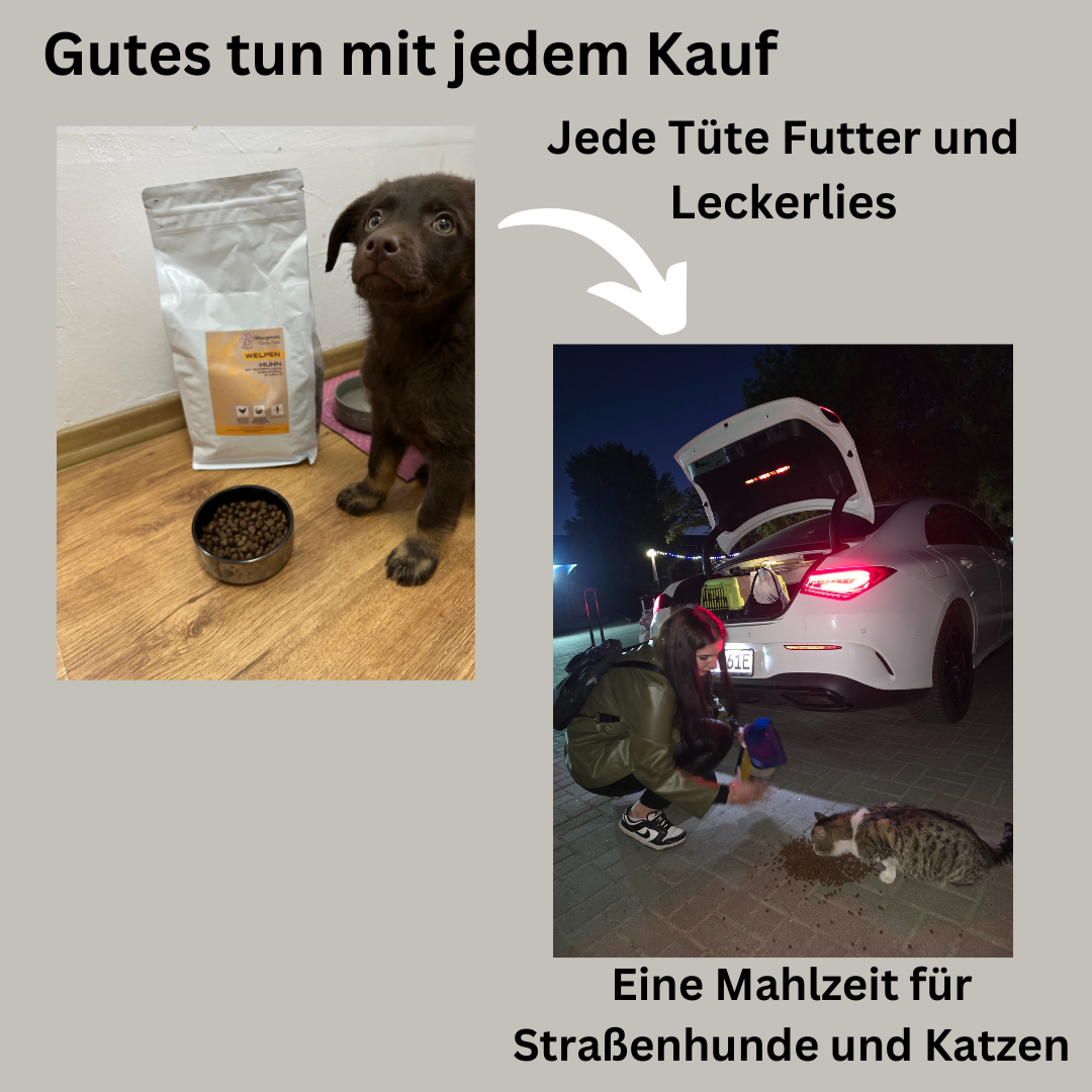 Ausgewachsene Hunde 2Kg Waugenuss Premium Huhn mit Truthahn, Lachs, Getreidefrei