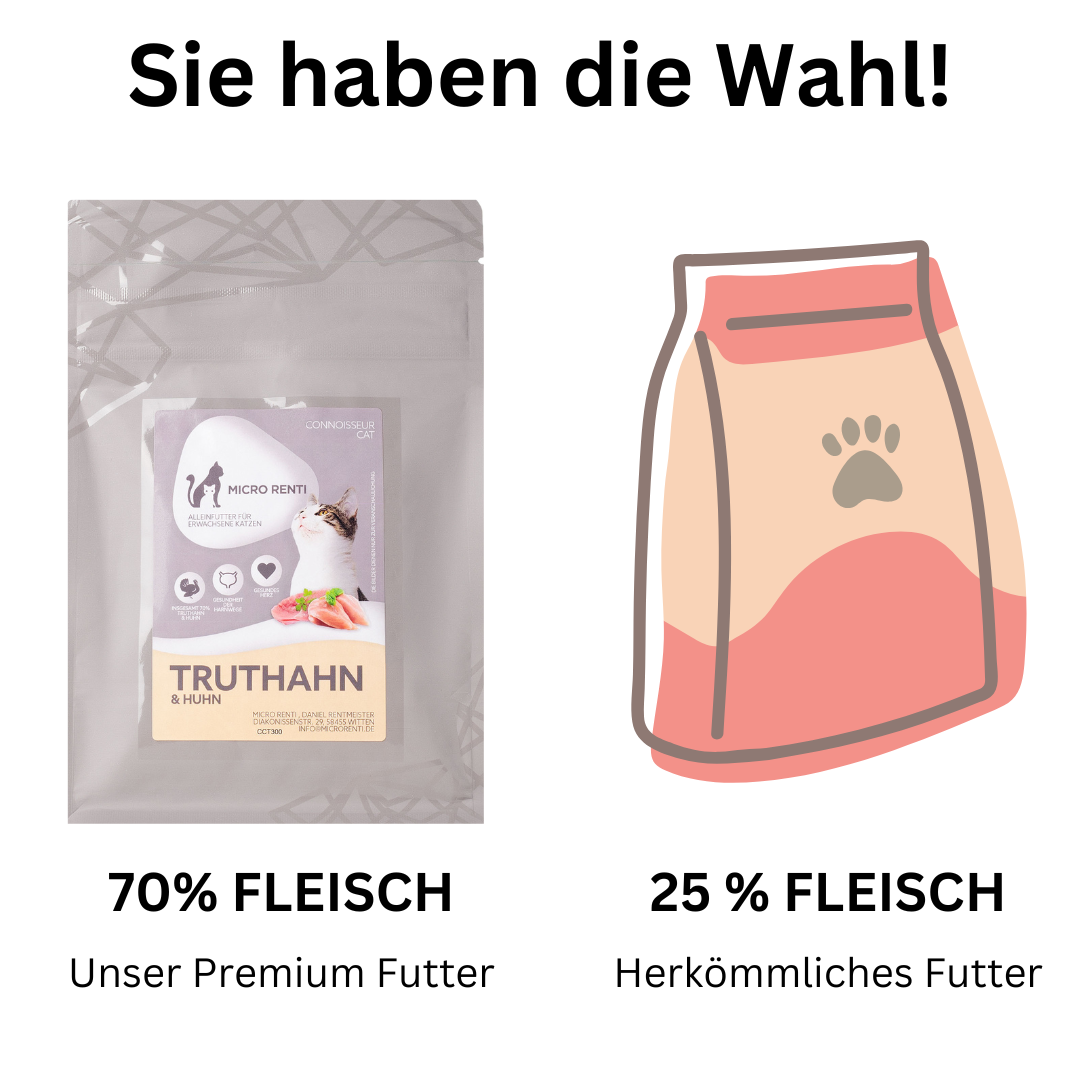 Bestseller Box Spar Bundle