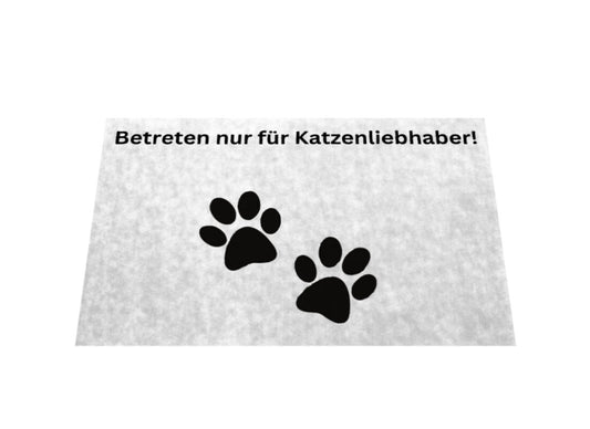 72cb5a42-9f86-4051-9b01-aff6125599bd