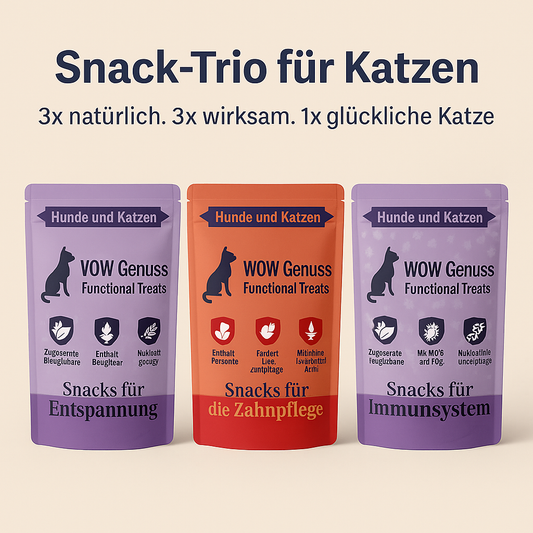 🎁 Snack-Trio-Angebot – das Rundum-sorglos-Paket für deine Katze